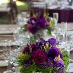 Blissful Events Wedding and Event Planning